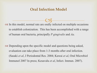
Oral Infection Model
 In this model, normal rats are orally infected on multiple occasions
to establish colonization. This has been accomplished with a range
of human oral bacteria, principally P gingivalis and Aa.
 Depending upon the specific model and questions being asked,
evaluation can take place from 1-3 months after oral infection.
(Sasaki et al, J Periodontal Res. 2004; Kawai et al, Oral Microbiol
Immunol 2007 In press; Kesavalu et al, Infect. Immun. 2007).
 