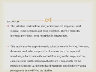 ADVANTAGES
 This infection model allows study of immune cell responses, local
gingival tissue responses, and bone resorption. There is markedly
increased periodontal bone resorption in infected rats.
 This model may be adapted to study colonization or infectivity. However,
the results need to be interpreted with caution since the impact of
introducing a bacterium to the normal flora may not be simple and one
cannot assume that the introduced bacterium is responsible for the
pathologic changes i.e. the introduced bacterium could indirectly cause
pathogenesis by modifying the biofilm.
 