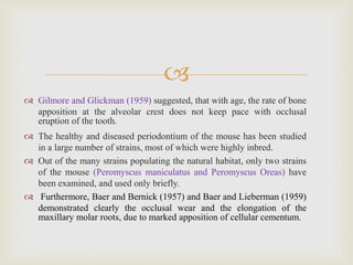 
 Gilmore and Glickman (1959) suggested, that with age, the rate of bone
apposition at the alveolar crest does not keep pace with occlusal
eruption of the tooth.
 The healthy and diseased periodontium of the mouse has been studied
in a large number of strains, most of which were highly inbred.
 Out of the many strains populating the natural habitat, only two strains
of the mouse (Peromyscus maniculatus and Peromyscus Oreas) have
been examined, and used only briefly.
 Furthermore, Baer and Bernick (1957) and Baer and Lieberman (1959)
demonstrated clearly the occlusal wear and the elongation of the
maxillary molar roots, due to marked apposition of cellular cementum.
 