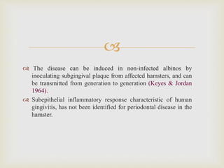 
 The disease can be induced in non-infected albinos by
inoculating subgingival plaque from affected hamsters, and can
be transmitted from generation to generation (Keyes & Jordan
1964).
 Subepithelial inflammatory response characteristic of human
gingivitis, has not been identified for periodontal disease in the
hamster.
 