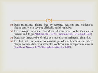  Dogs maintained plaque free by repeated scalings and meticulous
plaque control can develop clinically healthy gingiva.
 The etiologic factors of periodontal disease seem to be identical in
humans and dogs (Attstrőm et al. 1975, Ericsson et al. 1975, Gad 1968).
 Dogs may therefore be of value as a model for experimental gingivitis.
 The fact that it is possible to maintain periodontal health in sites where
plaque accumulation was prevented confirms similar reports in humans
(Lindhe & Nyman 1975, Theilade & Attström 1985).
 