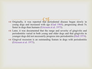  Originally, it was reported that periodontal disease began slowly in
young dogs and increased with age (Gad 1968), progressing about 5x
faster in dogs than humans (Ericsson et al. 1975).
 Later, it was documented that the range and severity of gingivitis and
periodontitis varied in both young and older dogs and that gingivitis in
younger dogs did not necessarily progress into periodontitis (Hull 1974).
 Gingival recession is an outstanding feature in dogs with periodontitis
(Ericsson et al. 1975).
 