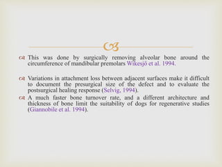  This was done by surgically removing alveolar bone around the
circumference of mandibular premolars Wikesjő et al. 1994.
 Variations in attachment loss between adjacent surfaces make it difficult
to document the presurgical size of the defect and to evaluate the
postsurgical healing response (Selvig, 1994).
 A much faster bone turnover rate, and a different architecture and
thickness of bone limit the suitability of dogs for regenerative studies
(Giannobile et al. 1994).
 