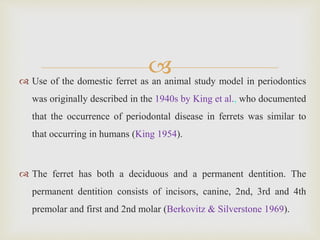  Use of the domestic ferret as an animal study model in periodontics
was originally described in the 1940s by King et al., who documented
that the occurrence of periodontal disease in ferrets was similar to
that occurring in humans (King 1954).
 The ferret has both a deciduous and a permanent dentition. The
permanent dentition consists of incisors, canine, 2nd, 3rd and 4th
premolar and first and 2nd molar (Berkovitz & Silverstone 1969).
 
