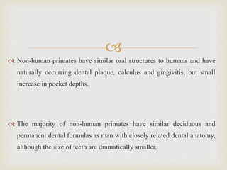
 Non-human primates have similar oral structures to humans and have
naturally occurring dental plaque, calculus and gingivitis, but small
increase in pocket depths.
 The majority of non-human primates have similar deciduous and
permanent dental formulas as man with closely related dental anatomy,
although the size of teeth are dramatically smaller.
 