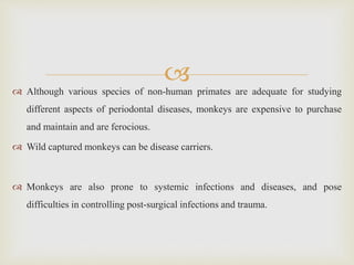  Although various species of non-human primates are adequate for studying
different aspects of periodontal diseases, monkeys are expensive to purchase
and maintain and are ferocious.
 Wild captured monkeys can be disease carriers.
 Monkeys are also prone to systemic infections and diseases, and pose
difficulties in controlling post-surgical infections and trauma.
 