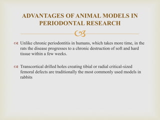 
 Unlike chronic periodontitis in humans, which takes more time, in the
rats the disease progresses to a chronic destruction of soft and hard
tissue within a few weeks.
 Transcortical drilled holes creating tibial or radial critical-sized
femoral defects are traditionally the most commonly used models in
rabbits
ADVANTAGES OF ANIMAL MODELS IN
PERIODONTAL RESEARCH
 