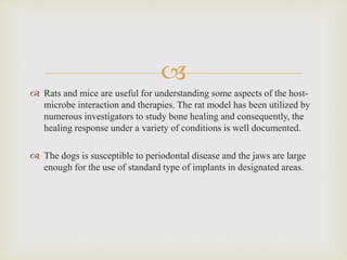 
 Rats and mice are useful for understanding some aspects of the host-
microbe interaction and therapies. The rat model has been utilized by
numerous investigators to study bone healing and consequently, the
healing response under a variety of conditions is well documented.
 The dogs is susceptible to periodontal disease and the jaws are large
enough for the use of standard type of implants in designated areas.
 