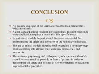 
 No genuine analogue of the various forms of human periodontitis
exists in animals.
 A gold standard animal model in periodontology does not exist since
every application requires a model that fills specific needs.
 Experimental models for periodontal diseases are essential for
understanding the origin and evolution of the pathology in humans.
 The use of animal models in periodontal research is a necessary step
prior to entering into clinical trials with new biomaterials and
treatments.
 The anatomy, physiology and pathogenicity of experimental models
should relate as much as possible to those of patients in order to
demonstrate the safety and efficacy of new biomaterials or treatments
in periodontal regeneration.
CONCLUSION
 