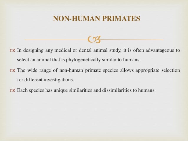 Animal models