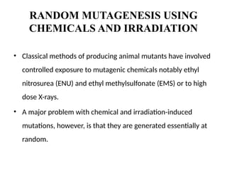 ANIMAL MODELS FOR MIMICKING HUMAN DISEASES.pptx