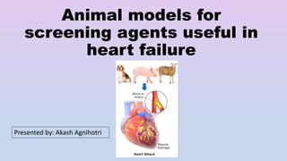 Animal models for
screening agents useful in
heart failure
Presented by: Akash Agnihotri
 