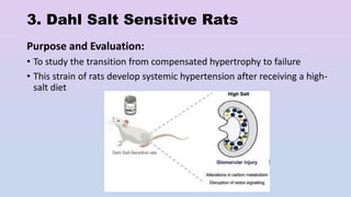 Animal models for screening agents useful in Heart Failure | PPTX