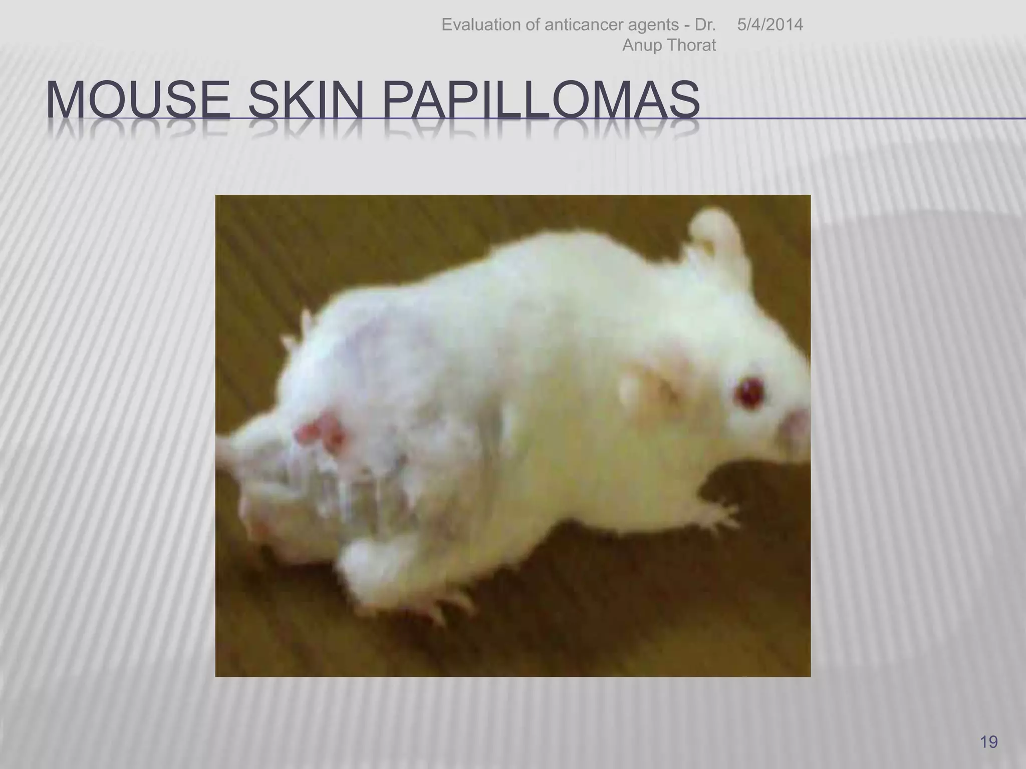MOUSE SKIN PAPILLOMAS
5/4/2014Evaluation of anticancer agents - Dr.
Anup Thorat
19
 