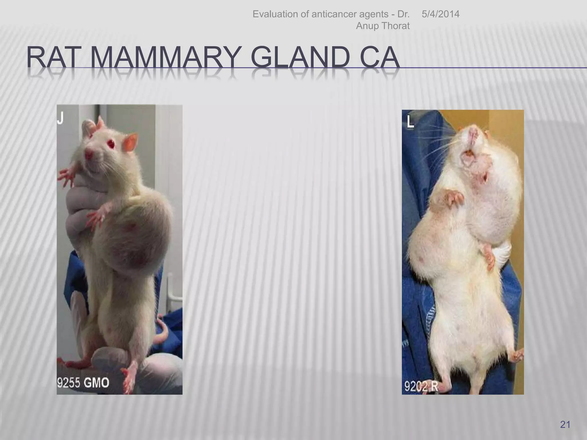RAT MAMMARY GLAND CA
5/4/2014Evaluation of anticancer agents - Dr.
Anup Thorat
21
 