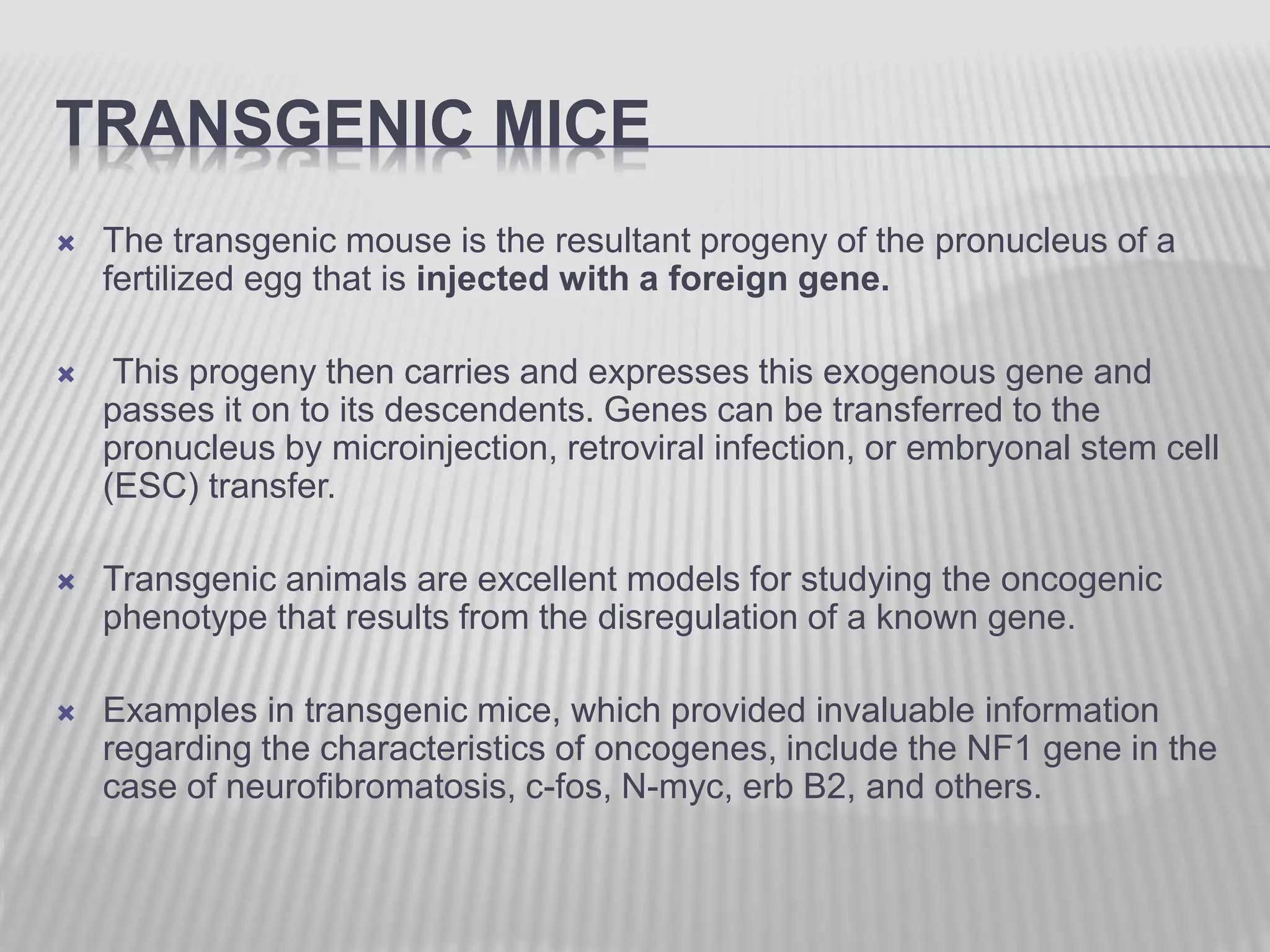 TRANSGENIC MICE
 The transgenic mouse is the resultant progeny of the pronucleus of a
fertilized egg that is injected with a foreign gene.
 This progeny then carries and expresses this exogenous gene and
passes it on to its descendents. Genes can be transferred to the
pronucleus by microinjection, retroviral infection, or embryonal stem cell
(ESC) transfer.
 Transgenic animals are excellent models for studying the oncogenic
phenotype that results from the disregulation of a known gene.
 Examples in transgenic mice, which provided invaluable information
regarding the characteristics of oncogenes, include the NF1 gene in the
case of neurofibromatosis, c-fos, N-myc, erb B2, and others.
 