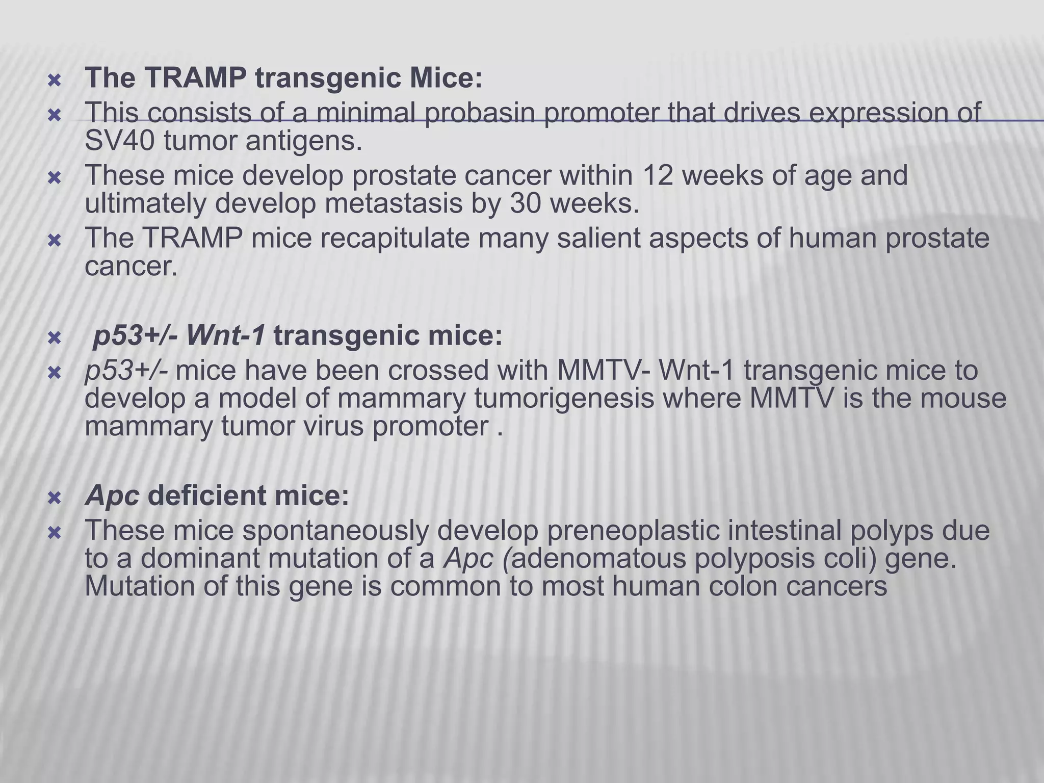 The TRAMP transgenic Mice:
 This consists of a minimal probasin promoter that drives expression of
SV40 tumor antigens.
 These mice develop prostate cancer within 12 weeks of age and
ultimately develop metastasis by 30 weeks.
 The TRAMP mice recapitulate many salient aspects of human prostate
cancer.
 p53+/- Wnt-1 transgenic mice:
 p53+/- mice have been crossed with MMTV- Wnt-1 transgenic mice to
develop a model of mammary tumorigenesis where MMTV is the mouse
mammary tumor virus promoter .
 Apc deficient mice:
 These mice spontaneously develop preneoplastic intestinal polyps due
to a dominant mutation of a Apc (adenomatous polyposis coli) gene.
Mutation of this gene is common to most human colon cancers
 