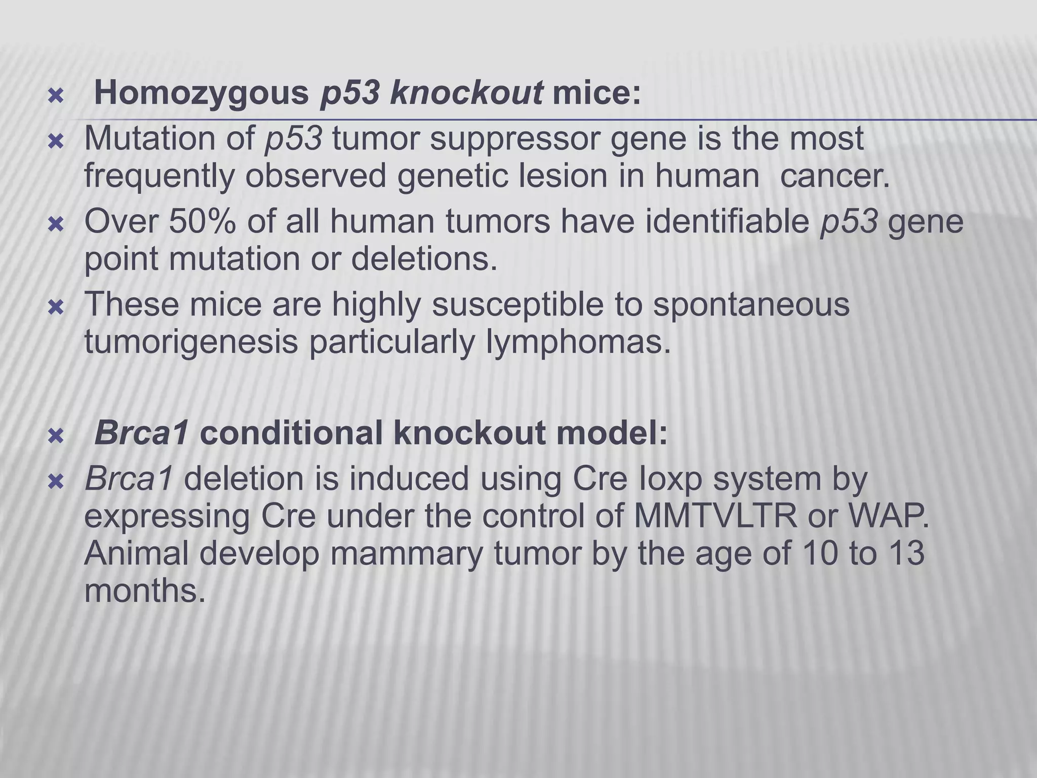  Homozygous p53 knockout mice:
 Mutation of p53 tumor suppressor gene is the most
frequently observed genetic lesion in human cancer.
 Over 50% of all human tumors have identifiable p53 gene
point mutation or deletions.
 These mice are highly susceptible to spontaneous
tumorigenesis particularly lymphomas.
 Brca1 conditional knockout model:
 Brca1 deletion is induced using Cre Ioxp system by
expressing Cre under the control of MMTVLTR or WAP.
Animal develop mammary tumor by the age of 10 to 13
months.
 