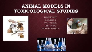 ANIMAL MODELS IN
TOXICOLOGICAL STUDIES
PRESENTED BY
Dr. SINDHU. K
MVSc SCHOLAR,
DEPT OF VPT,
POOKODE, WAYANAD.
 