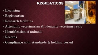 REGULATIONS
• Licensing
• Registration
• Research facilities
• Attending veterinarian & adequate veterinary care
• Identification of animals
• Records
• Compliance with standards & holding period
 