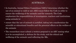 AUSTRALIA
• In Australia, Animal Ethics Committees (AECs) determine whether the
use of an animal is valid or not. AECs must follow the Code in order to
ensure the wellbeing of the animals used for research. The Code
emphasizes the responsibilities of investigators, teachers and institutions
using animals to:
• ensure that the use of animals is justified, taking into consideration the
scientific or educational benefits and the potential effects on the welfare of
the animals
• The researchers must submit a written proposal to an AEC stating what
is to be accomplished, a defense for the study, and the ethical and
wellbeing of the animals used reflecting the 3Rs.
 