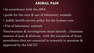 ANIMAL PAIN
• In accordance with the AWA
• guide for the care & use of laboratory animals
• public health service policy for the human care
• Use of laboratory animals
Veterinarians & investigators must identify , eliminate
sources of pain & distress , with the exception of those
procedures that are essential to research in question &
approved by the IACUC
 