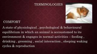 TERMINOLOGIES
COMFORT
A state of physiological , psychological & behavioural
equilibrium in which an animal is accoustomed to its
environment & engages in normal activities – feeding ,
drinking , grooming , social interaction , sleeping waking
cycles & reproduction
 