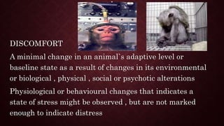 .
DISCOMFORT
A minimal change in an animal`s adaptive level or
baseline state as a result of changes in its environmental
or biological , physical , social or psychotic alterations
Physiological or behavioural changes that indicates a
state of stress might be observed , but are not marked
enough to indicate distress
 