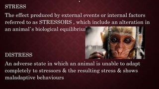 .
STRESS
The effect produced by external events or internal factors
referred to as STRESSORS , which include an alteration in
an animal`s biological equilibrium
DISTRESS
An adverse state in which an animal is unable to adapt
completely to stressors & the resulting stress & shows
maladaptive behaviours
 