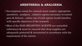 ANESTHESIA & ANALGESIA
• Investigators using live animals must employ appropriate
anesthetic , analgesic , sedative agents necessary to control
pain & distress , unless use of such agents would interfere
with specific objectives of the research
• Most of the PAIN RELIEVING AGENTS are controlled
substances & must be ensured that drug supplies are
adequately protected & inventoried in accordance with the
requirement of the statute
 