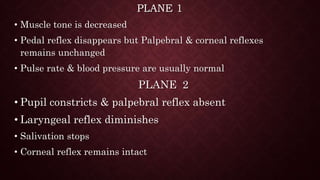 PLANE 1
• Muscle tone is decreased
• Pedal reflex disappears but Palpebral & corneal reflexes
remains unchanged
• Pulse rate & blood pressure are usually normal
PLANE 2
• Pupil constricts & palpebral reflex absent
• Laryngeal reflex diminishes
• Salivation stops
• Corneal reflex remains intact
 