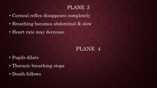 PLANE 3
• Corneal reflex disappears completely
• Breathing becomes abdominal & slow
• Heart rate may decrease
PLANE 4
• Pupils dilate
• Thoracic breathing stops
• Death follows
 