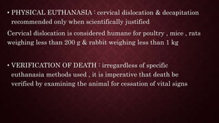 • PHYSICAL EUTHANASIA : cervical dislocation & decapitation
recommended only when scientifically justified
Cervical dislocation is considered humane for poultry , mice , rats
weighing less than 200 g & rabbit weighing less than 1 kg
• VERIFICATION OF DEATH : irregardless of specific
euthanasia methods used , it is imperative that death be
verified by examining the animal for cessation of vital signs
 
