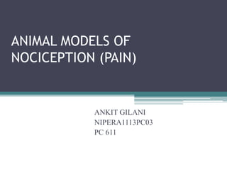 ANIMAL MODELS OF
NOCICEPTION (PAIN)


           ANKIT GILANI
           NIPERA1113PC03
           PC 611
 