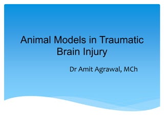 Animal Models in Traumatic
Brain Injury
Dr Amit Agrawal, MCh
 