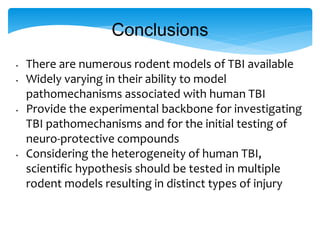 Animal Models in Traumatic Brain Injury | PPTX