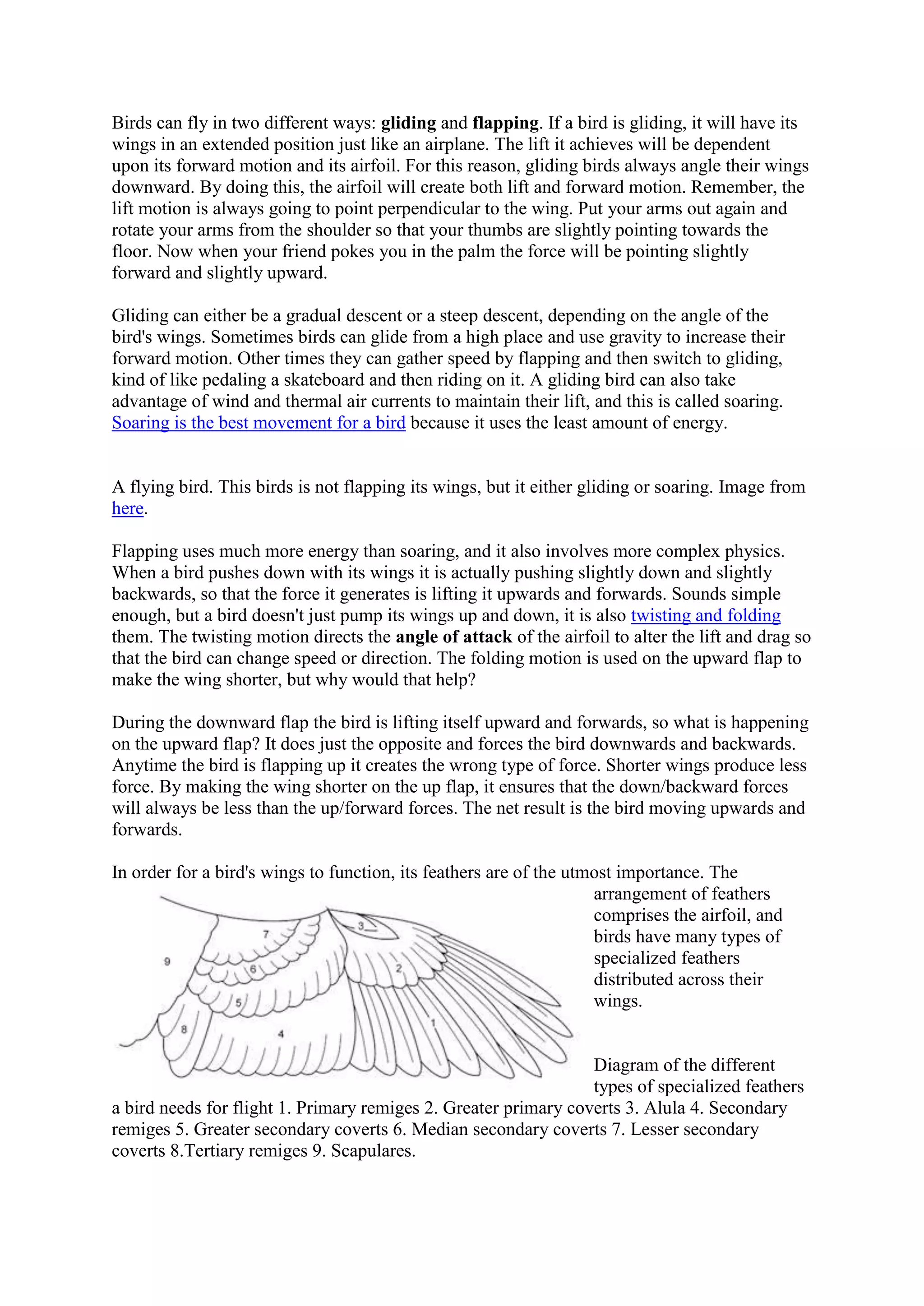 Birds can fly in two different ways: gliding and flapping. If a bird is gliding, it will have its
wings in an extended position just like an airplane. The lift it achieves will be dependent
upon its forward motion and its airfoil. For this reason, gliding birds always angle their wings
downward. By doing this, the airfoil will create both lift and forward motion. Remember, the
lift motion is always going to point perpendicular to the wing. Put your arms out again and
rotate your arms from the shoulder so that your thumbs are slightly pointing towards the
floor. Now when your friend pokes you in the palm the force will be pointing slightly
forward and slightly upward.
Gliding can either be a gradual descent or a steep descent, depending on the angle of the
bird's wings. Sometimes birds can glide from a high place and use gravity to increase their
forward motion. Other times they can gather speed by flapping and then switch to gliding,
kind of like pedaling a skateboard and then riding on it. A gliding bird can also take
advantage of wind and thermal air currents to maintain their lift, and this is called soaring.
Soaring is the best movement for a bird because it uses the least amount of energy.

A flying bird. This birds is not flapping its wings, but it either gliding or soaring. Image from
here.
Flapping uses much more energy than soaring, and it also involves more complex physics.
When a bird pushes down with its wings it is actually pushing slightly down and slightly
backwards, so that the force it generates is lifting it upwards and forwards. Sounds simple
enough, but a bird doesn't just pump its wings up and down, it is also twisting and folding
them. The twisting motion directs the angle of attack of the airfoil to alter the lift and drag so
that the bird can change speed or direction. The folding motion is used on the upward flap to
make the wing shorter, but why would that help?
During the downward flap the bird is lifting itself upward and forwards, so what is happening
on the upward flap? It does just the opposite and forces the bird downwards and backwards.
Anytime the bird is flapping up it creates the wrong type of force. Shorter wings produce less
force. By making the wing shorter on the up flap, it ensures that the down/backward forces
will always be less than the up/forward forces. The net result is the bird moving upwards and
forwards.
In order for a bird's wings to function, its feathers are of the utmost importance. The
arrangement of feathers
comprises the airfoil, and
birds have many types of
specialized feathers
distributed across their
wings.

Diagram of the different
types of specialized feathers
a bird needs for flight 1. Primary remiges 2. Greater primary coverts 3. Alula 4. Secondary
remiges 5. Greater secondary coverts 6. Median secondary coverts 7. Lesser secondary
coverts 8.Tertiary remiges 9. Scapulares.

 