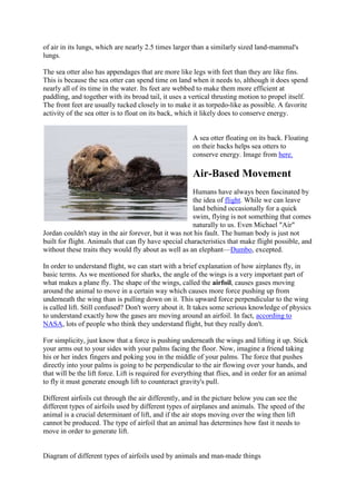 of air in its lungs, which are nearly 2.5 times larger than a similarly sized land-mammal's
lungs.
The sea otter also has appendages that are more like legs with feet than they are like fins.
This is because the sea otter can spend time on land when it needs to, although it does spend
nearly all of its time in the water. Its feet are webbed to make them more efficient at
paddling, and together with its broad tail, it uses a vertical thrusting motion to propel itself.
The front feet are usually tucked closely in to make it as torpedo-like as possible. A favorite
activity of the sea otter is to float on its back, which it likely does to conserve energy.

A sea otter floating on its back. Floating
on their backs helps sea otters to
conserve energy. Image from here.

Air-Based Movement
Humans have always been fascinated by
the idea of flight. While we can leave
land behind occasionally for a quick
swim, flying is not something that comes
naturally to us. Even Michael "Air"
Jordan couldn't stay in the air forever, but it was not his fault. The human body is just not
built for flight. Animals that can fly have special characteristics that make flight possible, and
without these traits they would fly about as well as an elephant—Dumbo, excepted.
In order to understand flight, we can start with a brief explanation of how airplanes fly, in
basic terms. As we mentioned for sharks, the angle of the wings is a very important part of
what makes a plane fly. The shape of the wings, called the airfoil, causes gases moving
around the animal to move in a certain way which causes more force pushing up from
underneath the wing than is pulling down on it. This upward force perpendicular to the wing
is called lift. Still confused? Don't worry about it. It takes some serious knowledge of physics
to understand exactly how the gases are moving around an airfoil. In fact, according to
NASA, lots of people who think they understand flight, but they really don't.
For simplicity, just know that a force is pushing underneath the wings and lifting it up. Stick
your arms out to your sides with your palms facing the floor. Now, imagine a friend taking
his or her index fingers and poking you in the middle of your palms. The force that pushes
directly into your palms is going to be perpendicular to the air flowing over your hands, and
that will be the lift force. Lift is required for everything that flies, and in order for an animal
to fly it must generate enough lift to counteract gravity's pull.
Different airfoils cut through the air differently, and in the picture below you can see the
different types of airfoils used by different types of airplanes and animals. The speed of the
animal is a crucial determinant of lift, and if the air stops moving over the wing then lift
cannot be produced. The type of airfoil that an animal has determines how fast it needs to
move in order to generate lift.

Diagram of different types of airfoils used by animals and man-made things

 