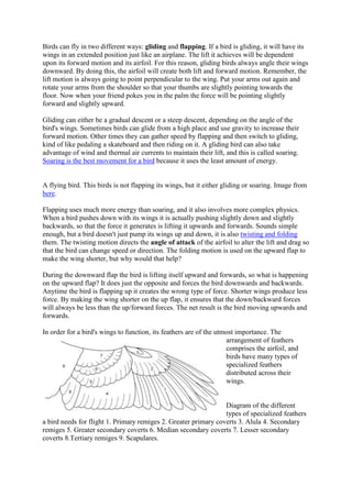 Birds can fly in two different ways: gliding and flapping. If a bird is gliding, it will have its
wings in an extended position just like an airplane. The lift it achieves will be dependent
upon its forward motion and its airfoil. For this reason, gliding birds always angle their wings
downward. By doing this, the airfoil will create both lift and forward motion. Remember, the
lift motion is always going to point perpendicular to the wing. Put your arms out again and
rotate your arms from the shoulder so that your thumbs are slightly pointing towards the
floor. Now when your friend pokes you in the palm the force will be pointing slightly
forward and slightly upward.
Gliding can either be a gradual descent or a steep descent, depending on the angle of the
bird's wings. Sometimes birds can glide from a high place and use gravity to increase their
forward motion. Other times they can gather speed by flapping and then switch to gliding,
kind of like pedaling a skateboard and then riding on it. A gliding bird can also take
advantage of wind and thermal air currents to maintain their lift, and this is called soaring.
Soaring is the best movement for a bird because it uses the least amount of energy.

A flying bird. This birds is not flapping its wings, but it either gliding or soaring. Image from
here.
Flapping uses much more energy than soaring, and it also involves more complex physics.
When a bird pushes down with its wings it is actually pushing slightly down and slightly
backwards, so that the force it generates is lifting it upwards and forwards. Sounds simple
enough, but a bird doesn't just pump its wings up and down, it is also twisting and folding
them. The twisting motion directs the angle of attack of the airfoil to alter the lift and drag so
that the bird can change speed or direction. The folding motion is used on the upward flap to
make the wing shorter, but why would that help?
During the downward flap the bird is lifting itself upward and forwards, so what is happening
on the upward flap? It does just the opposite and forces the bird downwards and backwards.
Anytime the bird is flapping up it creates the wrong type of force. Shorter wings produce less
force. By making the wing shorter on the up flap, it ensures that the down/backward forces
will always be less than the up/forward forces. The net result is the bird moving upwards and
forwards.
In order for a bird's wings to function, its feathers are of the utmost importance. The
arrangement of feathers
comprises the airfoil, and
birds have many types of
specialized feathers
distributed across their
wings.

Diagram of the different
types of specialized feathers
a bird needs for flight 1. Primary remiges 2. Greater primary coverts 3. Alula 4. Secondary
remiges 5. Greater secondary coverts 6. Median secondary coverts 7. Lesser secondary
coverts 8.Tertiary remiges 9. Scapulares.

 