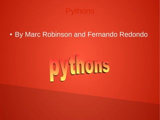 Pythons 
● By Marc Robinson and Fernando Redondo 
 