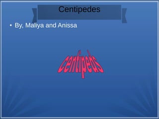 Centipedes 
● By, Maliya and Anissa 
 