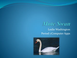 Leslie Washington
Period 1:Computer Apps
 