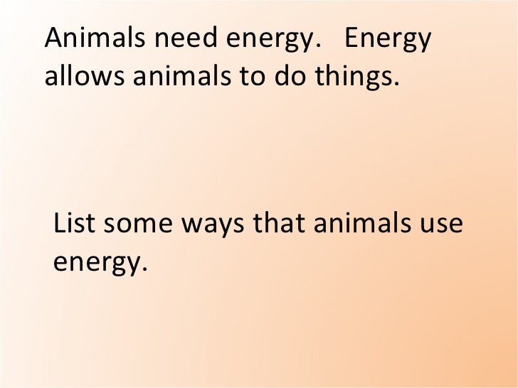 Animal needs. (teach) pptx