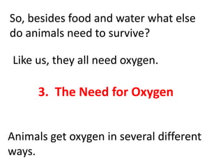 Animal needs (teach 1st, 2nd, 3th grades)