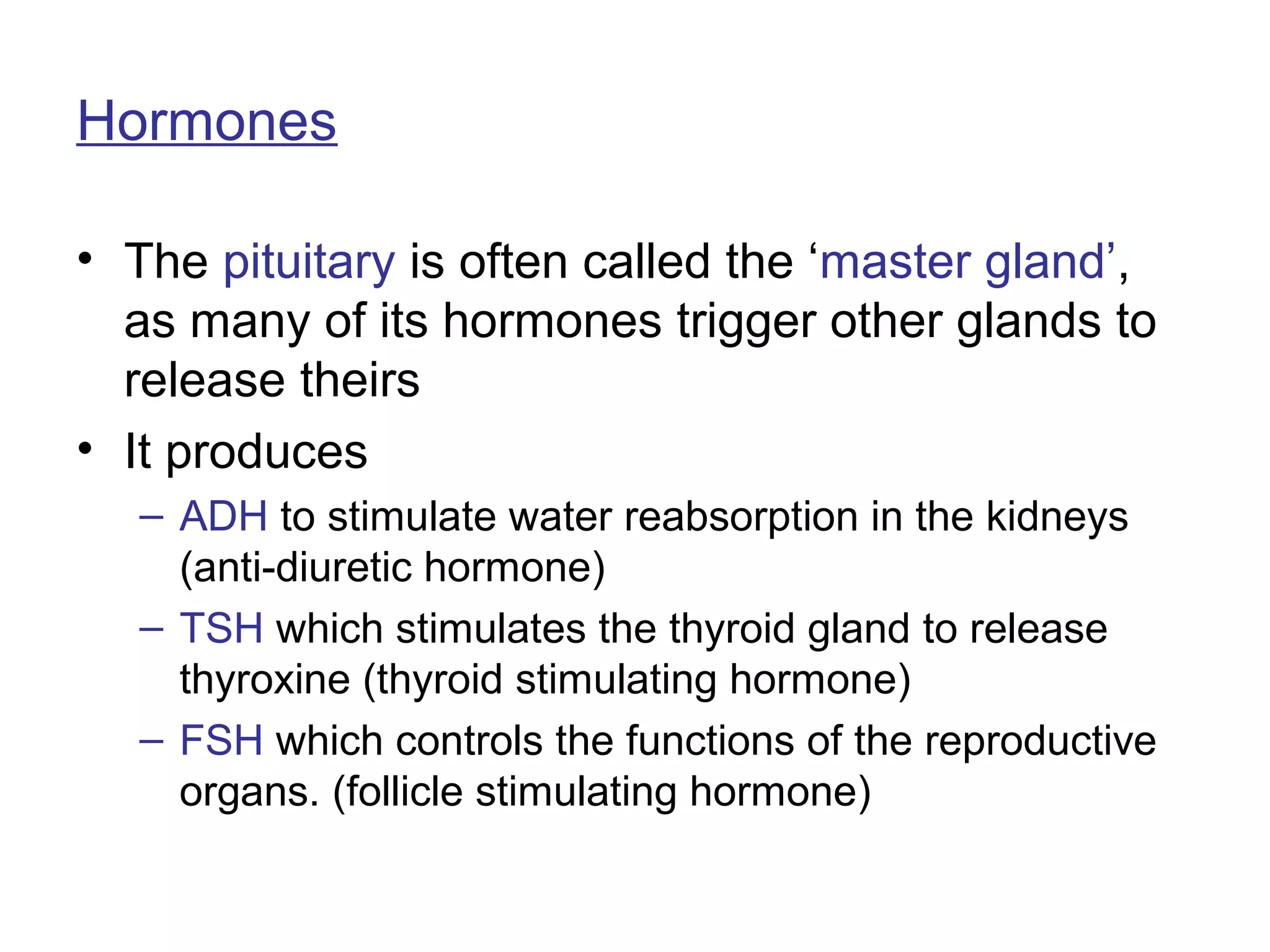Hormones

• The pituitary is often called the ‘master gland’,
  as many of its hormones trigger other glands to
  release theirs
• It produces
  – ADH to stimulate water reabsorption in the kidneys
    (anti-diuretic hormone)
  – TSH which stimulates the thyroid gland to release
    thyroxine (thyroid stimulating hormone)
  – FSH which controls the functions of the reproductive
    organs. (follicle stimulating hormone)
 