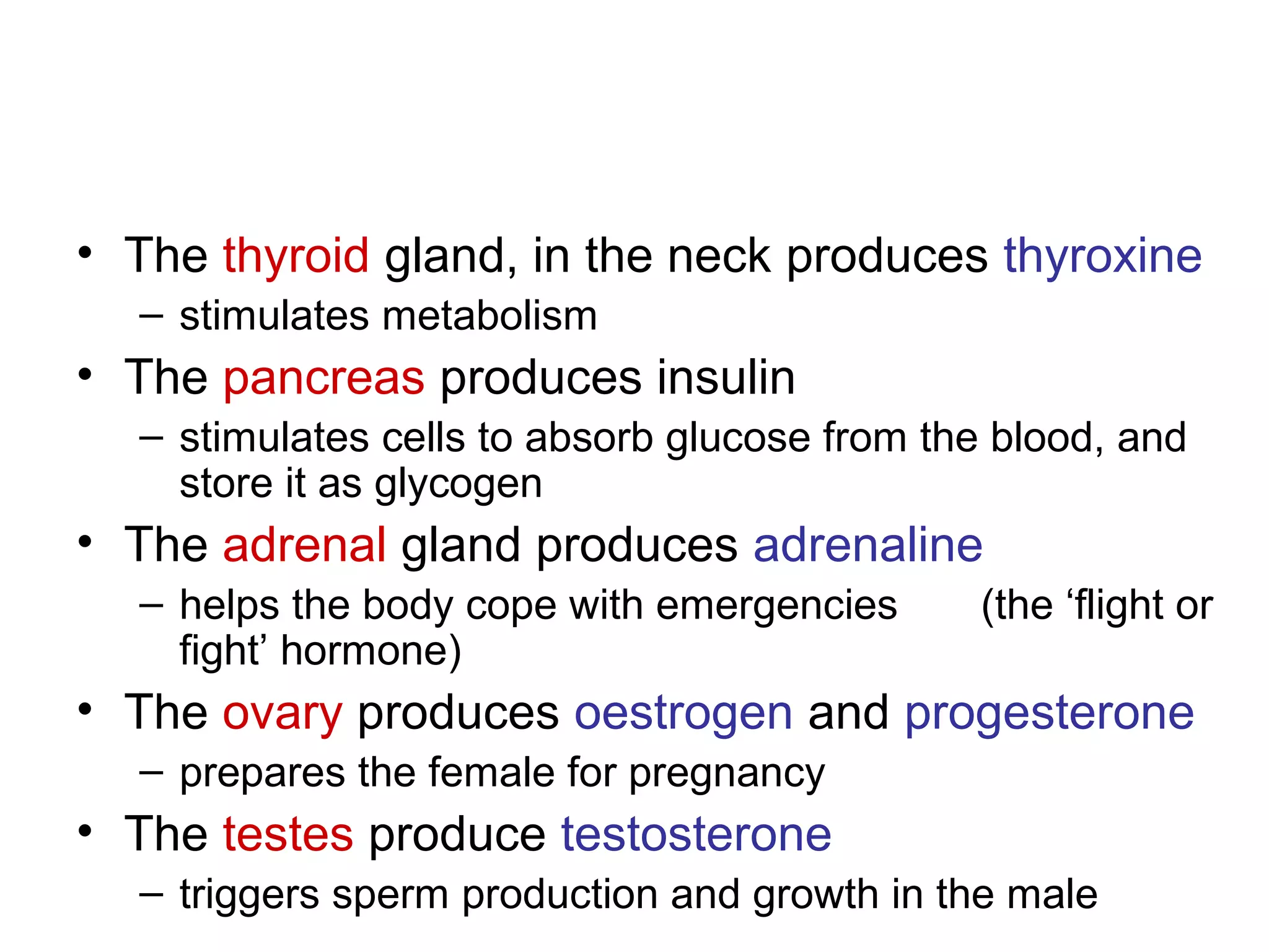• The thyroid gland, in the neck produces thyroxine
  – stimulates metabolism
• The pancreas produces insulin
  – stimulates cells to absorb glucose from the blood, and
    store it as glycogen
• The adrenal gland produces adrenaline
  – helps the body cope with emergencies      (the ‘flight or
    fight’ hormone)
• The ovary produces oestrogen and progesterone
  – prepares the female for pregnancy
• The testes produce testosterone
  – triggers sperm production and growth in the male
 