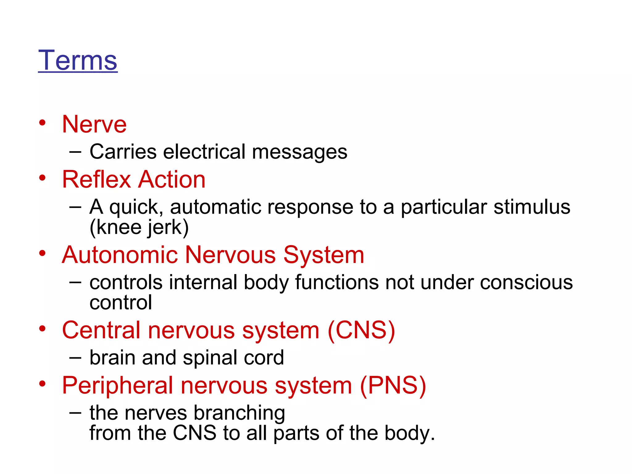 Terms

• Nerve
  – Carries electrical messages
• Reflex Action
  – A quick, automatic response to a particular stimulus
    (knee jerk)
• Autonomic Nervous System
  – controls internal body functions not under conscious
    control
• Central nervous system (CNS)
  – brain and spinal cord
• Peripheral nervous system (PNS)
  – the nerves branching
    from the CNS to all parts of the body.
 