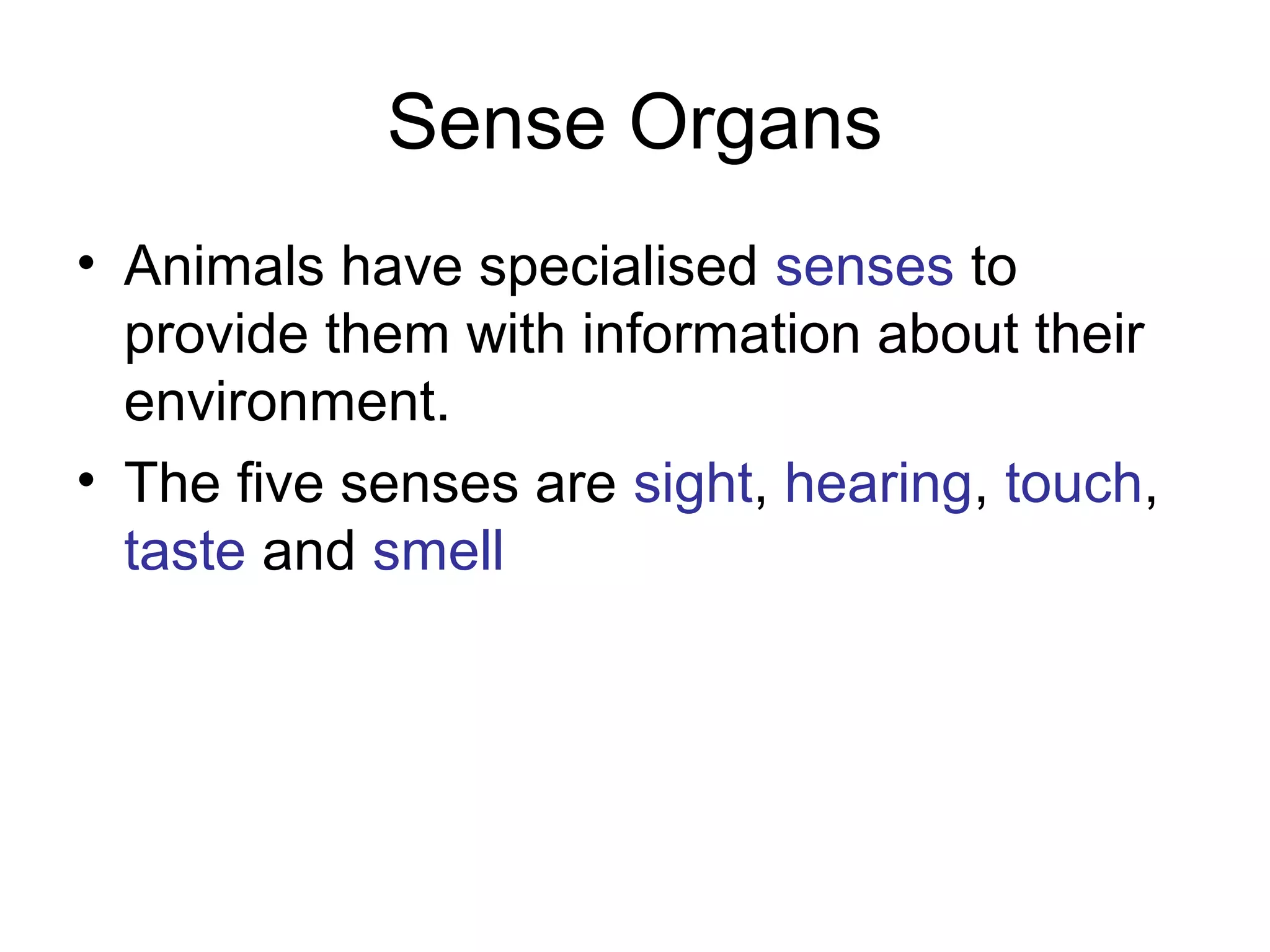 Sense Organs
• Animals have specialised senses to
  provide them with information about their
  environment.
• The five senses are sight, hearing, touch,
  taste and smell
 