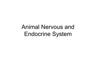 Animal Nervous and
 Endocrine System
 