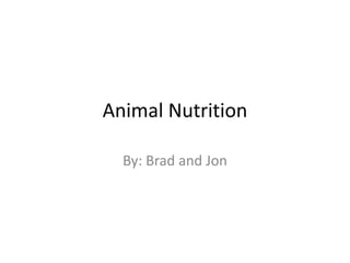 Animal Nutrition By: Brad and Jon 